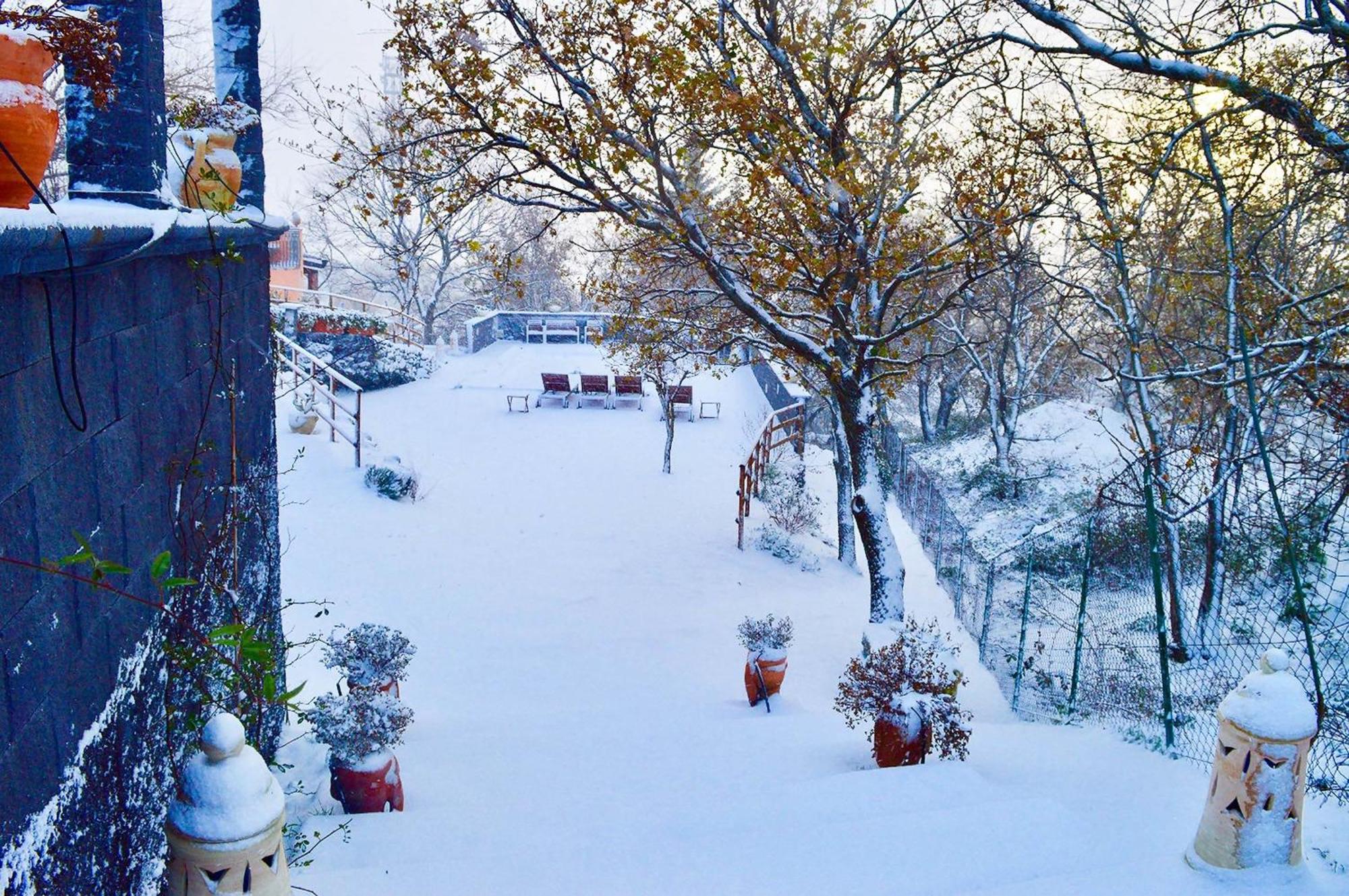 Villa Del Gelso Chalet Nel Parco Delletna Маскалі Екстер'єр фото